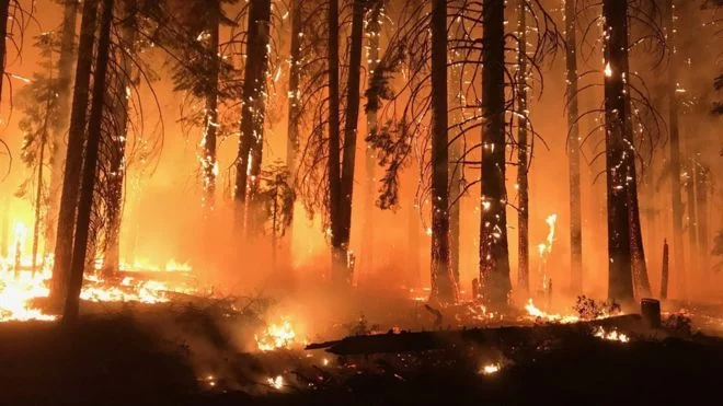 104444960 mediaitem104444956 - California Fire conspiracies a Hit on YouTube