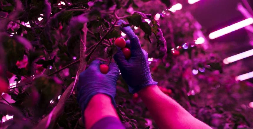 The cutting-edge technology that will change farming 14 - The cutting-edge technology that will change farming