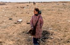 5493 226x145 - Wandering