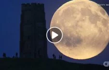 what pink moon 226x145 - What is Pink Moon?