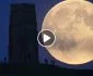 What is Pink Moon?