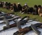 Afghanistan’s Intelligence Service Arrested IS Regional Leader