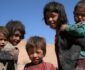 Chandra Arya: Taliban should protect Hazaras in Afghanistan