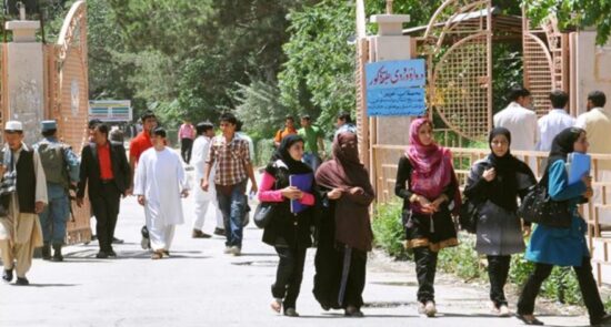 university 550x295 - Human Rights Alliance Accuses Taliban of Cultural Genocide