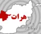 Tragic Attack on Shia Worshippers in Herat Leaves 13 Dead, Sparks Outrage