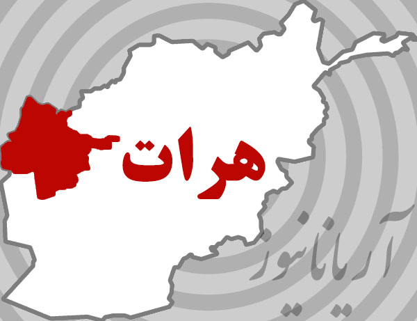 په هرات کې د شیعه عبادت کونکو پر وړاندې ترهګریز حمله: ۱۳ کسان وژل شوي