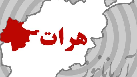 محکومیت گسترده جنایت تروریستی علیه شیعیان در هرات؛ تأکید چهره‌های سیاسی بر شناسایی سریع عاملان