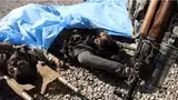 کشته و زخمی شدن 111 تن از دهشت افگنان طی 24 ساعت گذشته در ولایات مختلف کشور