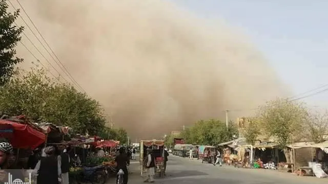 گزارش تصویری/ طوفان در مزار شریف
