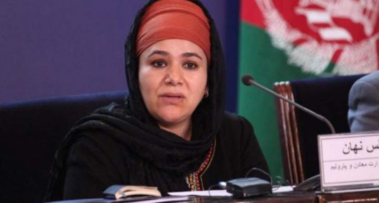سرپرست وزارت معادن و پترولیم استعفا داد