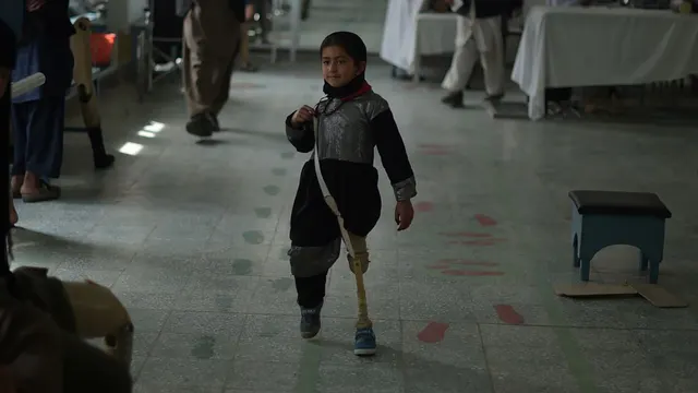 چند فیصد مردم افغانستان دچار معلولیت می باشند؟