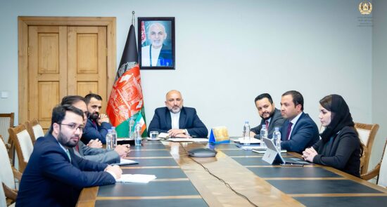 گفتگوی ویدیویی سرپرست وزارت امور خارجه با وزیر نیروی ایران