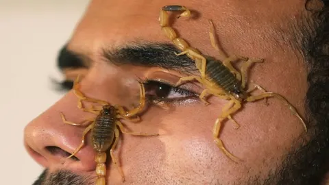 جوان مصری زهر گژدم ها را تبدیل به دالر می کند! + تصاویر