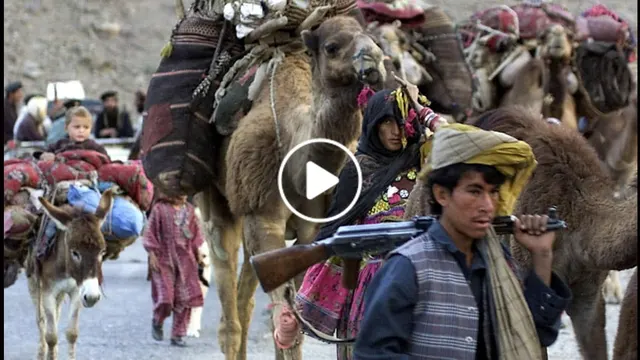 ویدیو/ ظلم کوچی‌ها بالای باشنده گان ولایت جوزجان
