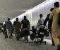 Afghan Asylum Seekers Dominate EU Applications, with Germany as Top Destination
