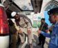 Surge in Afghan Deportations from Pakistan Sparks Humanitarian Crisis
