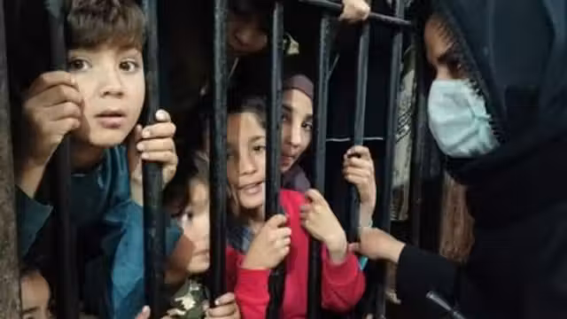 درخواست سازمان عفو بین الملل برای پایان آزار و اذیت افغان‌ها در پاکستان