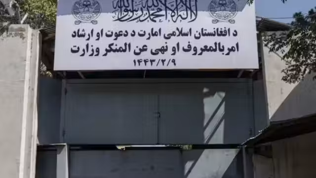 گزارش مقام‌های محلی هرات از پیگیری دوسیه‌های خشونت علیه زنان