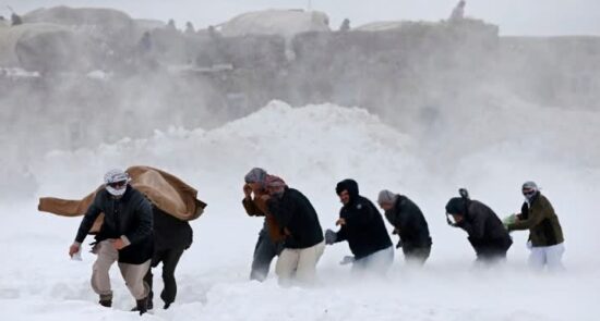 شکست طالبان در مهار مافیای قاچاق انسان؛ چگونه سیاست‌های حکومت جوانان افغان را به کام مرگ فرستاد؟