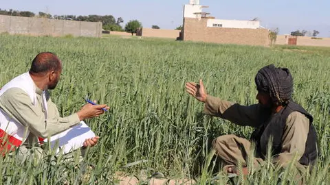 پیش‌بینی نگران‌کننده فائو؛ هفته‌ای بدون باران در انتظار اکثر ولایات کشور