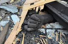 اتحادیه جهانی علمای مسلمان خواستار توقف فوری حملات پاکستان به افغانستان شد