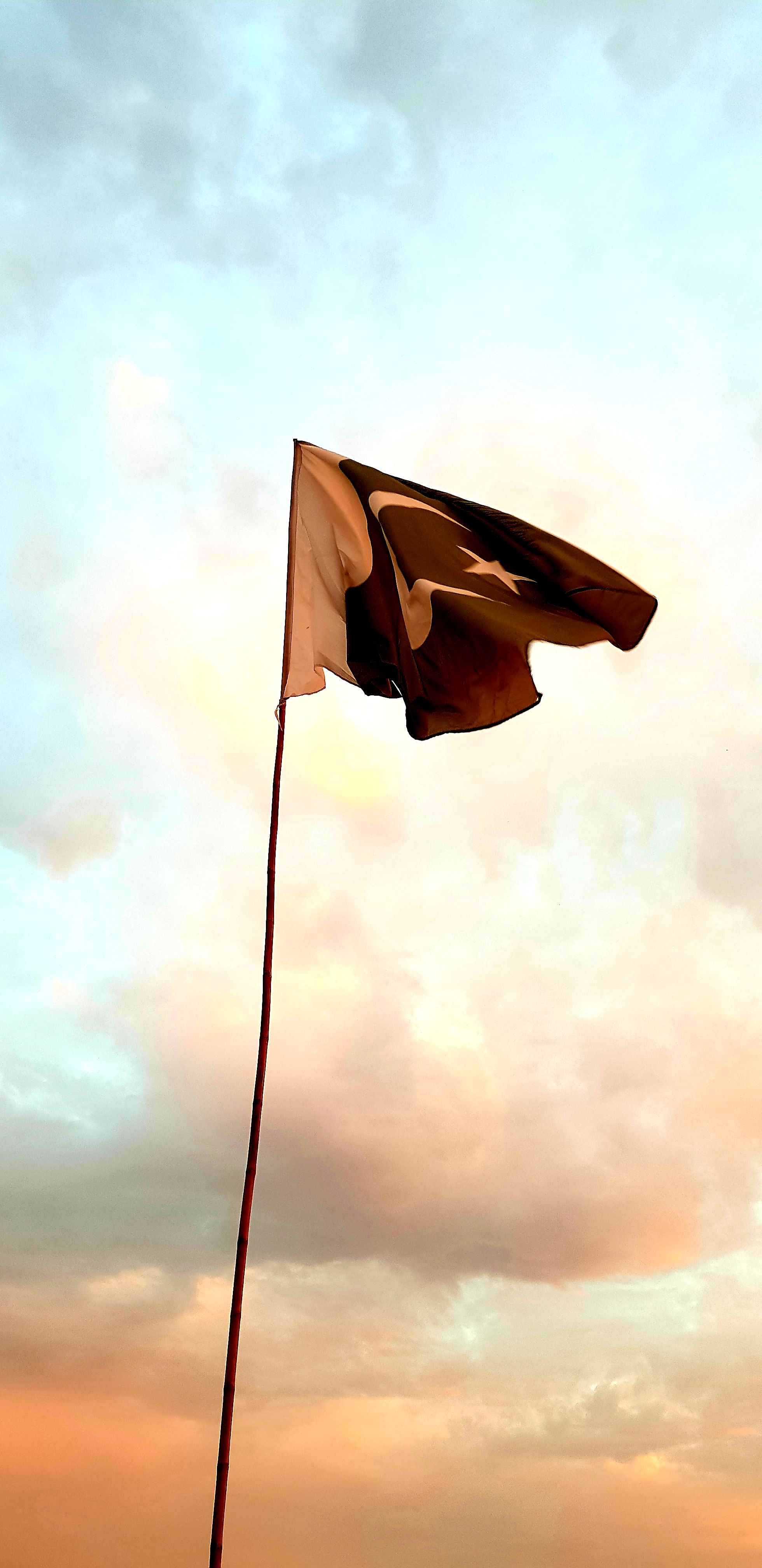 افغان فلم جوړونکی او رسنیو فعال په پاکستان کې ورک دي