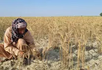 بحران خشک‌سالی در افغانستان؛ ادامه کمبود آب با وجود سیلاب‌ها