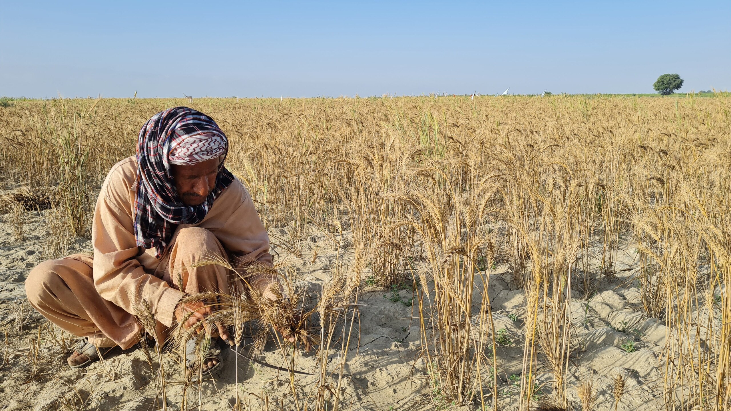 Afghanistan Faces Dual Water Crisis Amid Seasonal Rains