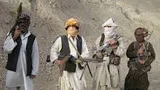 هلاکت 79  دهشت افگن در ولایات مختلف کشور