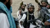 کشته شدن 43 طالب براثر درگیری در پکتیکا