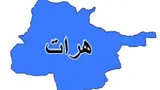 کشته شدن یک کارمند ریاست امنیت ملی هرات