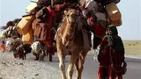 پاکستانی‌ها جایگزین کوچی‌های وردک